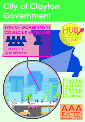 Government Demographics