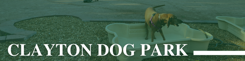 Dog Park Web Banner