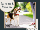 Leash Law News Item