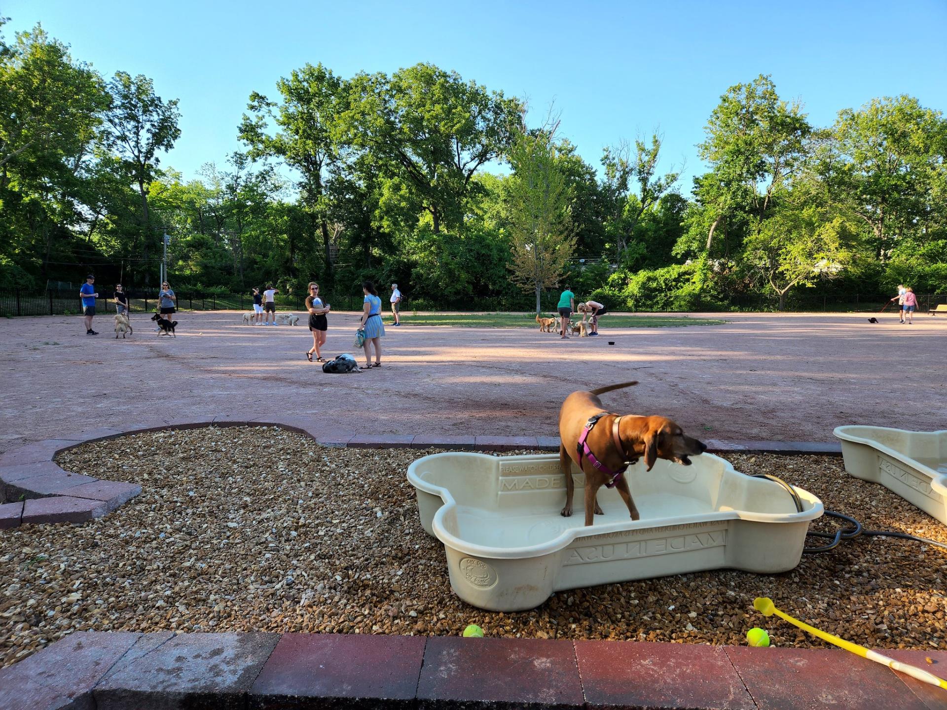 Clayton Dog Park Anderson Park